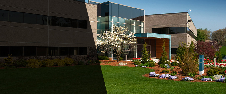 New Smyrna Beach Landscapers