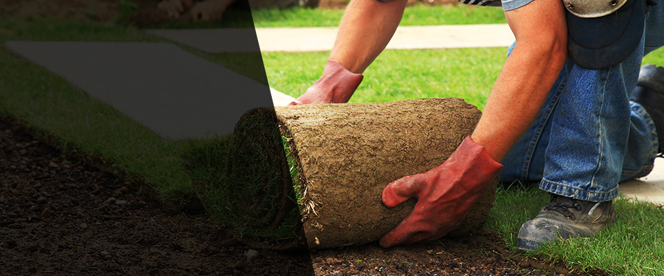 New Smyrna Beach Landscapers